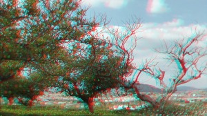 Paisaje cerca de la Noria de la Algada. Extrado de 'Archena en 3D'