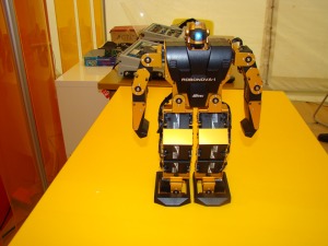 Robot de SICARM 2010