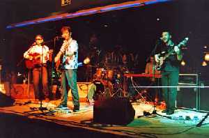 Los Sat�lites durante un concierto